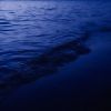 Francesco Argese, Lacer, Mattia Marino - Shiny
