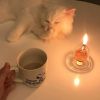 沉默是金 （抖音DJ獨白）
