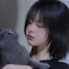 大神慧 黃梅戲(DJAw VinaHouse Mix 國語女)