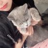 梁靜茹 - 暖暖Vs馮曦妤 - 我在那一角落患過傷風（ DJ銘仔 ProgHouse 2K21）
